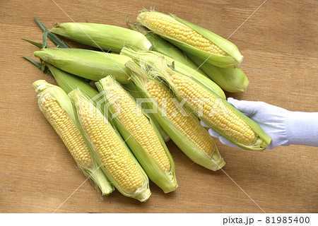 新鮮なトウモロコシ 81985400
