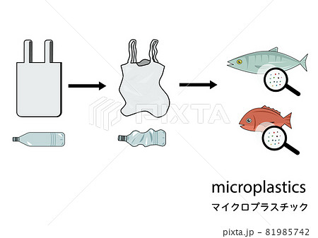魚の体内に入ったマイクロプラスチックを分かりやすくイメージしたイラストセットのイラスト素材