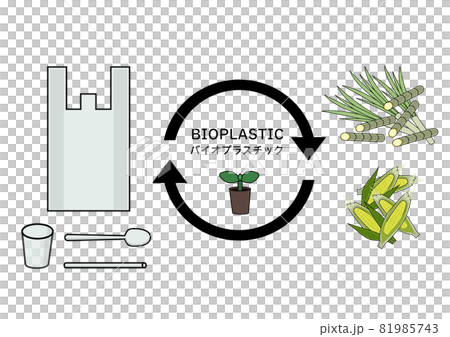 バイオプラスチック製品と、原料のトウモロコシとサトウキビとのイラスト 81985743
