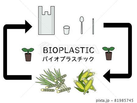 バイオプラスチック製品と 原料のトウモロコシとサトウキビとのイラストのイラスト素材