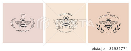 Collection of hand drawn bee, organic honey, logo, emblem, label and packaging design 81985774