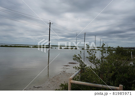 テキサス州コーパスクリスティの干潟に架かる電柱 テキサス州コーパスクリスティの干潟に架かる電柱 81985971