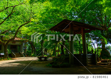 弘法山の休憩所 81986461