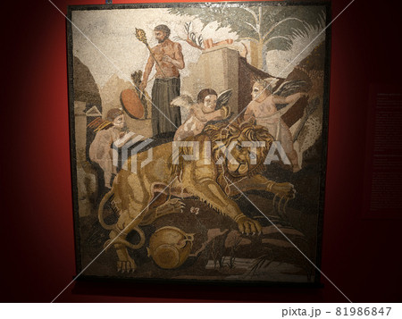 Old roman mosaic detail Old roman mosaic detail 81986847