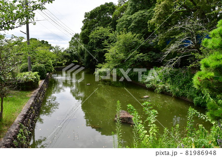 鹿島城11 鹿島城11 81986948