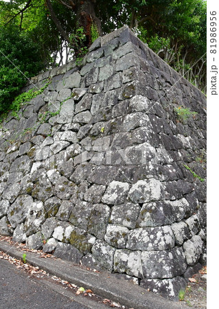 鹿島城18 81986956