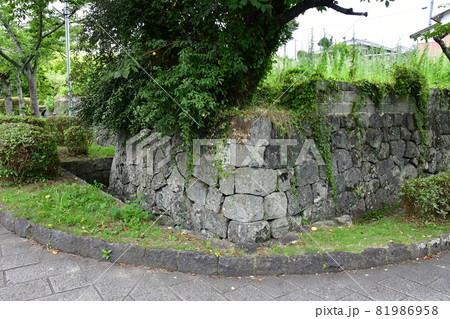 鹿島城20 鹿島城20 81986958