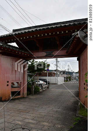 鹿島城21 鹿島城21 81986959