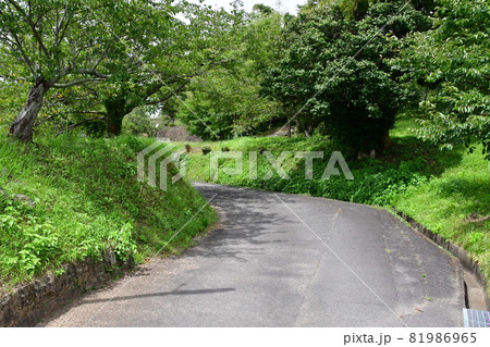 鹿島城27 鹿島城27 81986965