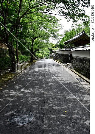 鹿島城31 81986969