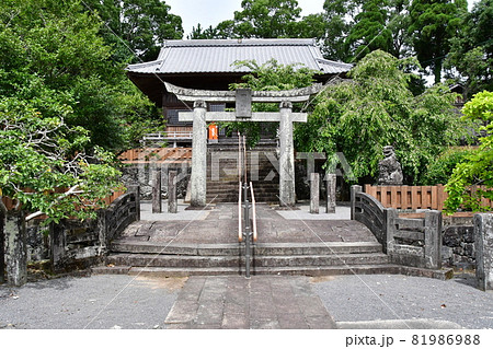 鹿島城50 81986988