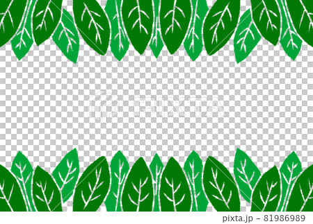 手描き葉っぱのシンプルフレーム 手描き葉っぱのシンプルフレーム 81986989