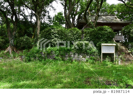 鷲巣城06 鷲巣城06 81987114