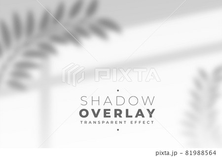 leaves and window pane shadow overlay effect 81988564