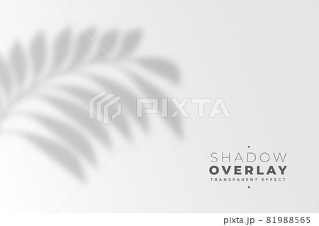 leaves shadow overlay effect background leaves shadow overlay effect background 81988565