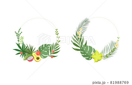 Round Shaped Frame with Green Tropical Leaves and Jungle Foliage Vector Set 81988769