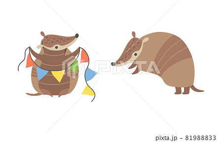 Cute Armadillo Character With Armor Shell のイラスト素材 8198