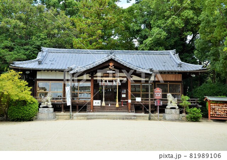 小泉神社 81989106