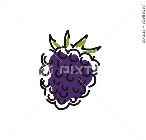 Juicy blackberry icon on a white isolated background. Vector illustration. Juicy blackberry icon on a white isolated background. Vector illustration. 81989197