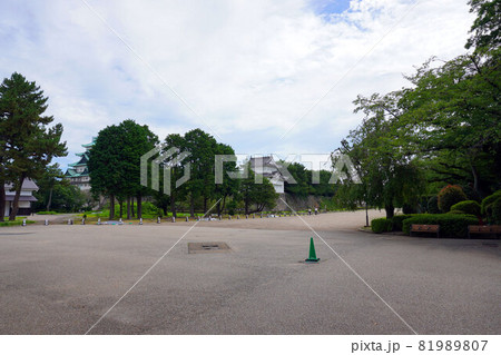名古屋城敷地内 名古屋城敷地内 81989807