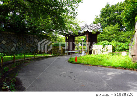 名古屋城周辺 ドルフィンアリーナと金シャチ横丁の境界門 名古屋城周辺 ドルフィンアリーナと金シャチ横丁の境界門 81989820