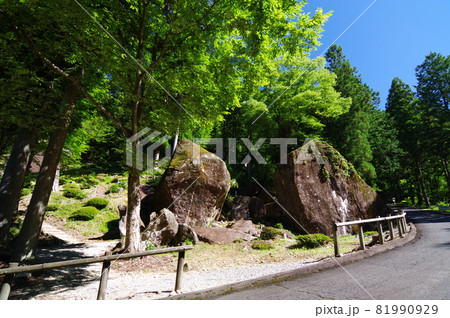 金山巨石群 金山巨石群 81990929