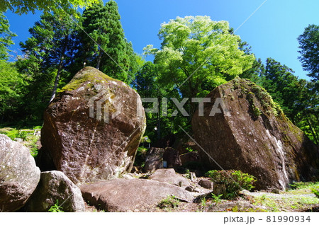 金山巨石群 81990934