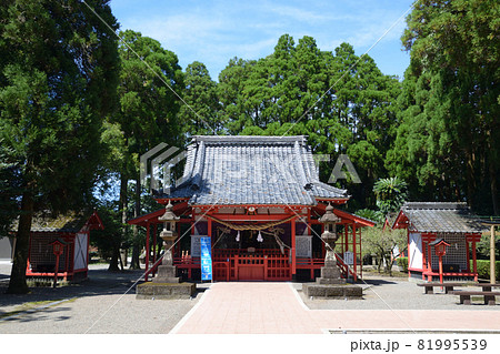 山宮神社の大クスの木 山宮神社の大クスの木 81995539