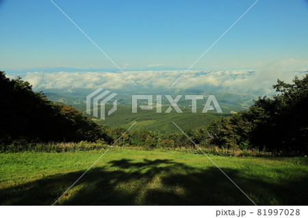 室根山で見る9月の雲海風景 81997028