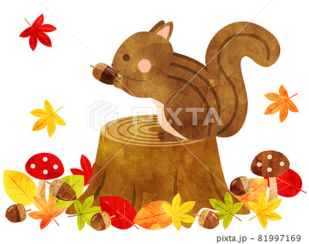 Illustration Of A Squirrel Eating Acorn On A Stock Illustration