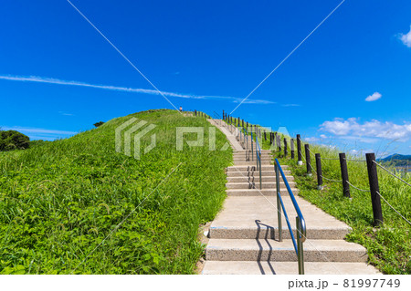 野母崎総合運動公園の小山「見晴らし台」 81997749