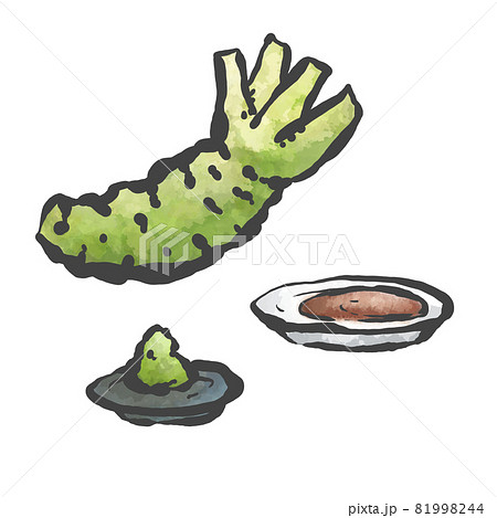 わさびの手描き筆絵風イラスト 81998244