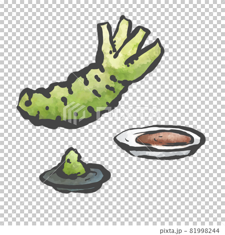 わさびの手描き筆絵風イラスト 81998244