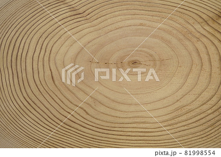 木材 テクスチャ素材 年輪 仕口 小口 切り口 断面 の写真素材