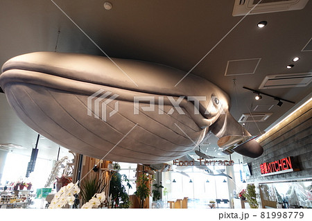 中国自動車道壇の浦PA 売店ナガスクジラのモニュメント 81998779