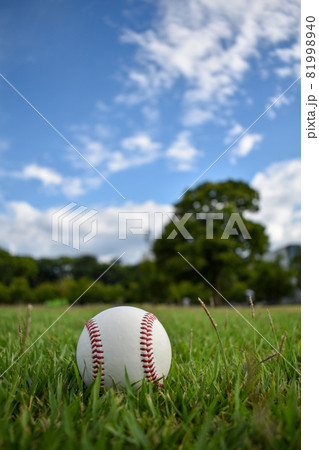 緑豊かな公園とボール 81998940