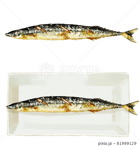 手描き水彩の秋刀魚の塩焼きイラストセット 81999129