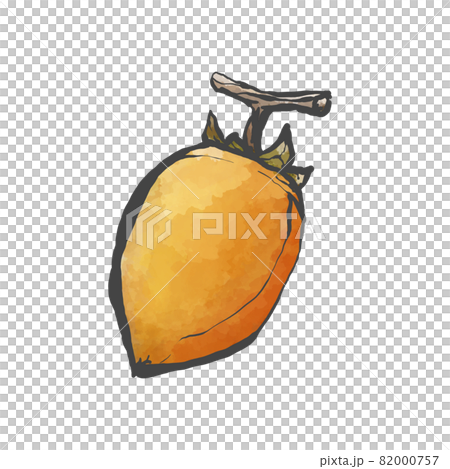 筆柿の手描き筆絵風イラスト 82000757