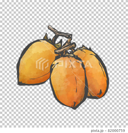 筆柿の手描き筆絵風イラストのイラスト素材