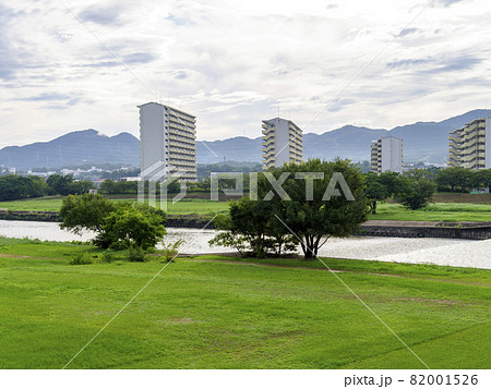 増水した河川と新緑が広がる公園 増水した河川と新緑が広がる公園 82001526