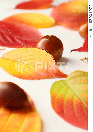 秋ってきれい 82001976