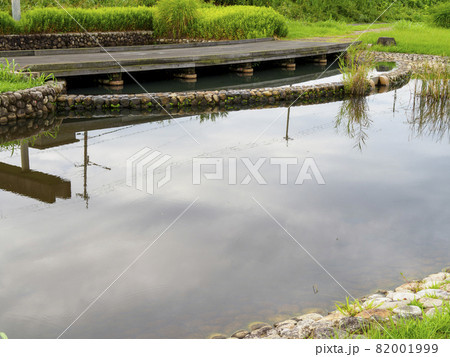 【大阪】河川敷の池がある公園の風景 【大阪】河川敷の池がある公園の風景 82001999