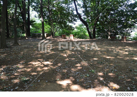 高幡城阯（高幡不動尊(金剛寺) 裏山／東京都日野市高幡町） 82002028