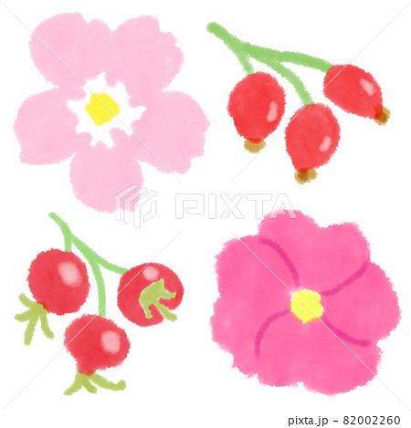 かわいい水彩イラスト ローズヒップ かわいい水彩イラスト ローズヒップ 82002260