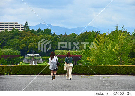 秋色の風景 82002306
