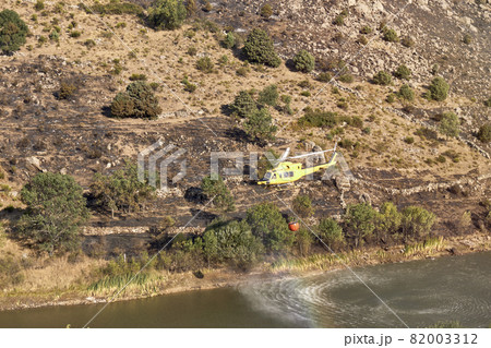 Firefighting helicopter taking water from a dam to extinguish a forest fire. Hazard concept 82003312