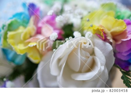 レインボーカーネーション 82003458