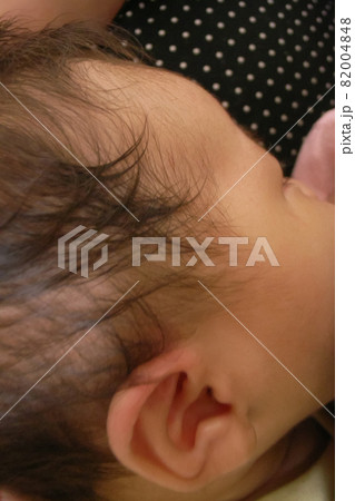 2 months old 82004848