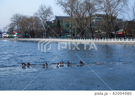 中国 北京の街角の美しい風景 82004980