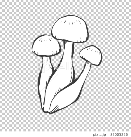 しめじの和風手描き線画イラスト 82005226